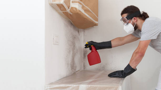 Professional Crawl Space Mold Remediation technician working in Sumner, IL