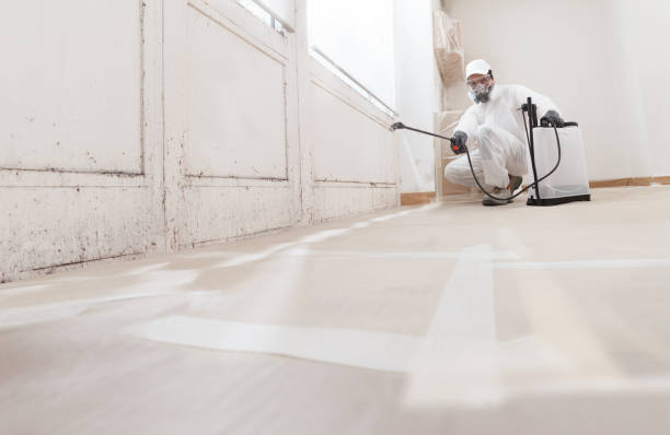 24/7 Emergency Crawl Space Mold Remediation experts in Sumner, IL