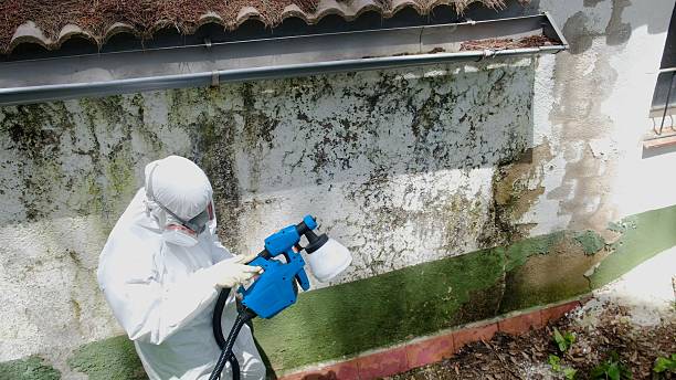 Top rated local Crawl Space Mold Remediation specialists in Sumner, IL